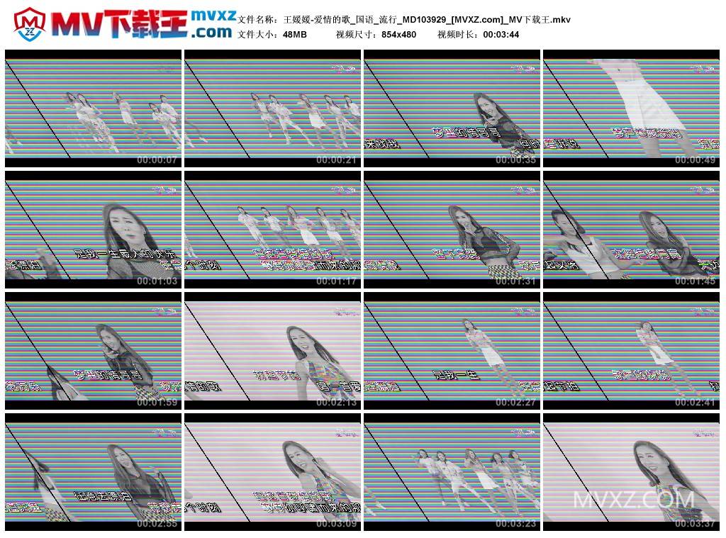 王媛媛-爱情的歌_国语_流行_MD103929